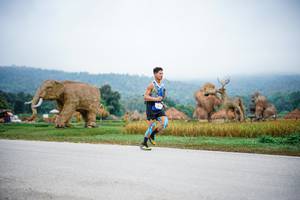 BIB: 
                            <button type="button" onclick="openModal(22400978)" class="btn btn-primary btn-sm float-right btn-popup" data-toggle="modal" data-target=".modal-high-quality">
                        <i class="fas fa-shopping-cart"></i> Add to Cart
                    </button>
                                            <button type="button" onclick="isThisMe(22400978, true)" class="btn btn-success btn-sm float-right btn-popup btn-isme hidden" data-toggle="tooltip" data-placement="bottom" title="นี่คือรูปของคุณใช่ไหม คลิกที่นี่เพื่อเอาเข้าอัลบั้ม">
                        <i class="fas fa-plus"></i> Add to album
                    </button>
                    <button type="button" onclick="isThisMe(22400978, false)" class="btn btn-warning btn-sm float-right btn-popup btn-isnotme hidden">
                        <i class="fas fa-ban"></i> Remove from album
                    </button>